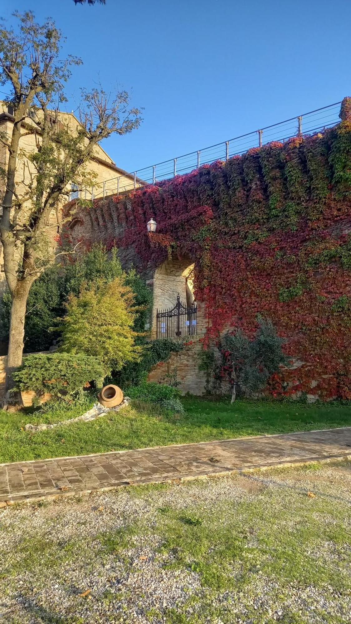 Novecento Lägenhet Bertinoro Exteriör bild